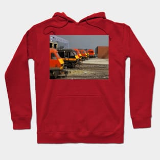 Busy shed Hoodie